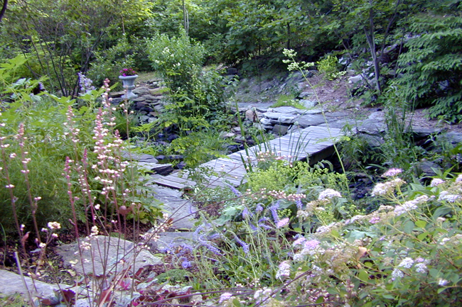 Secret Garden Ideas 18 ideas start secret backyard garden top easy Alice Platt Taghkanic Ny Secret Garden Ideas img_1406 before the secret garden Alice Platt Taghkanic Ny
