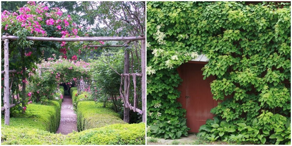 beautiful garden pictures home garden tours