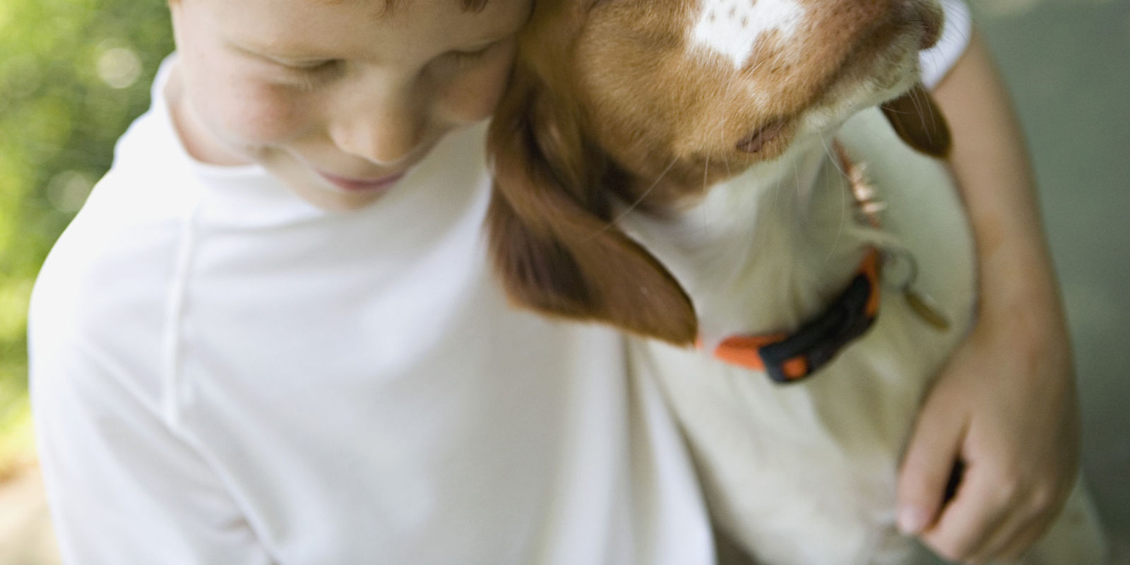 Home Pesticides and Pet Collars Tied to Cancer in Children New Study