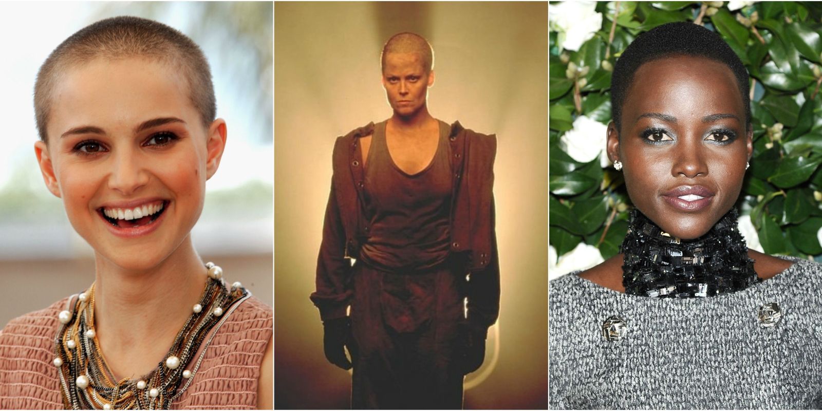 celebrity level meaning 15 famous women who shaved their heads famous bald women celebrity level meaning 15 famous women who shaved their heads famous bald women