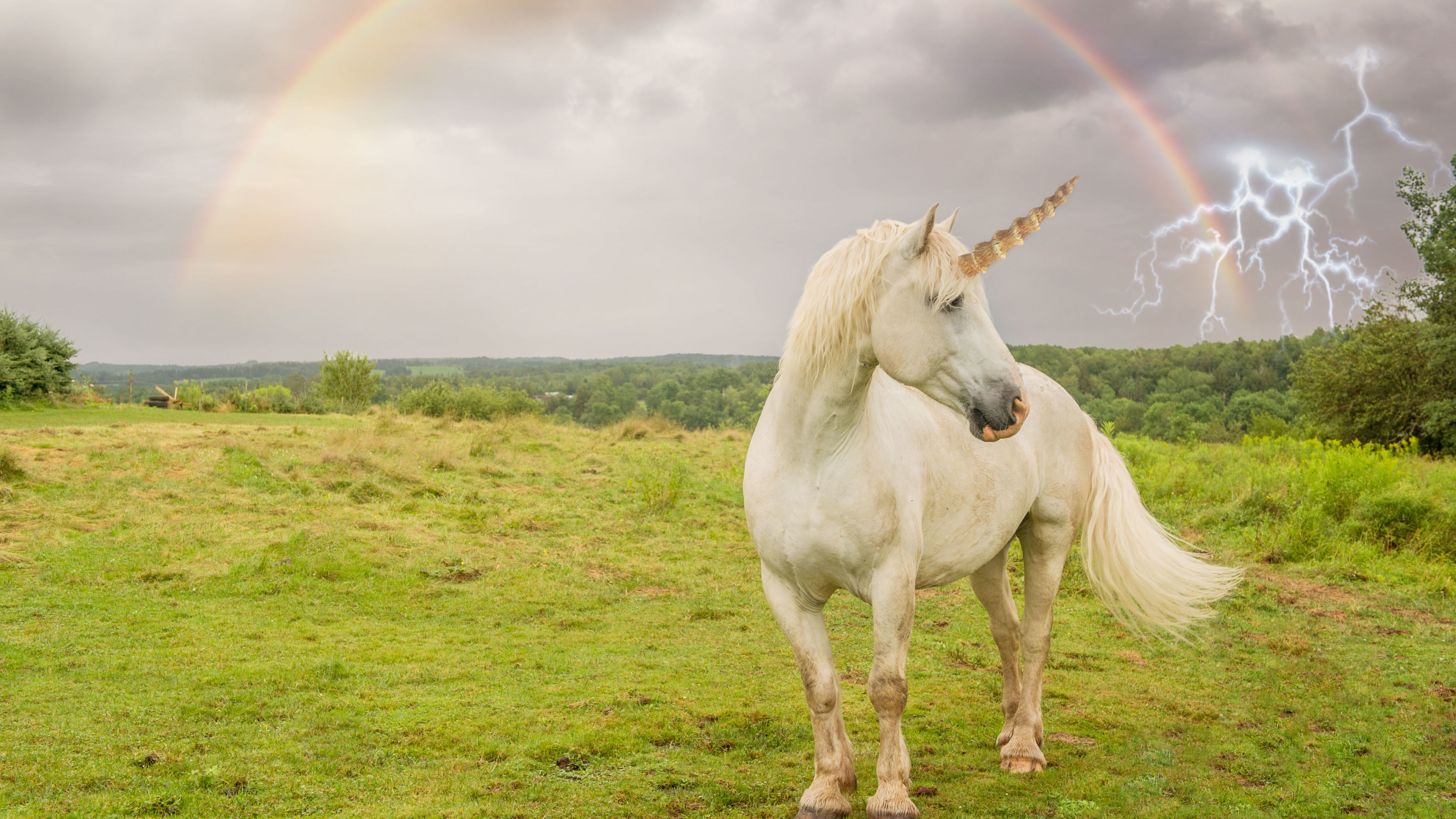 Realistic Unicorn Realistic Unicorn