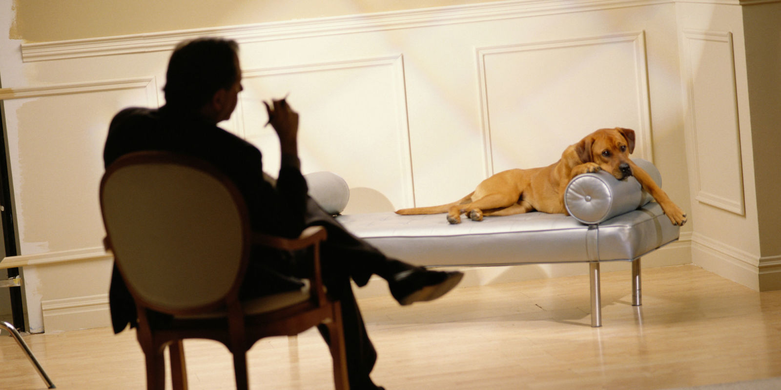 Why Does My Dog Sit With His Toy In His Mouth