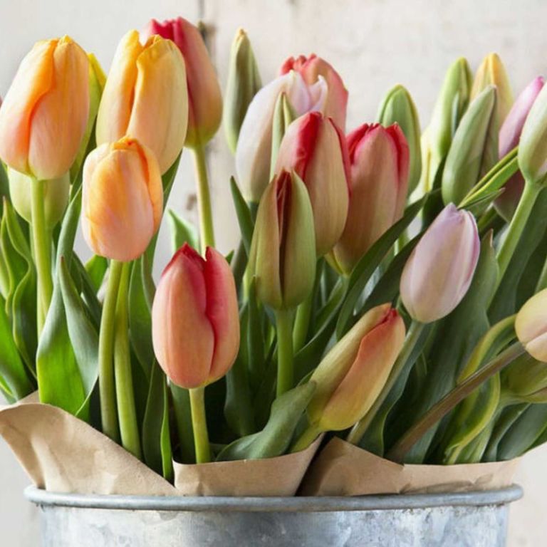 The Nifty Trick That Will Keep Your Tulips Upright