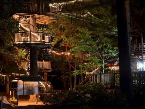 Swingers in pinehurst north carolina