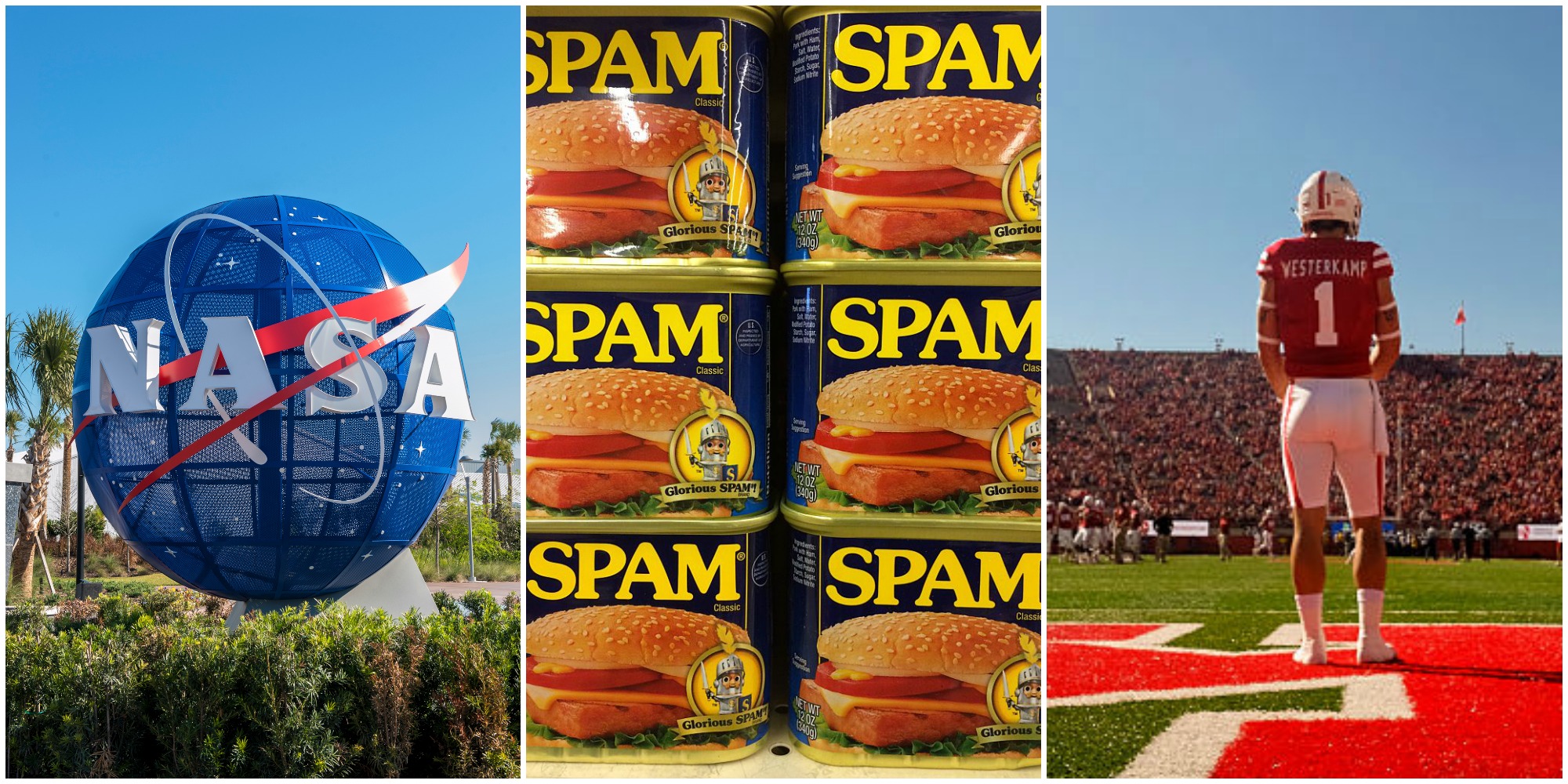 50 States, 50 Weird Facts