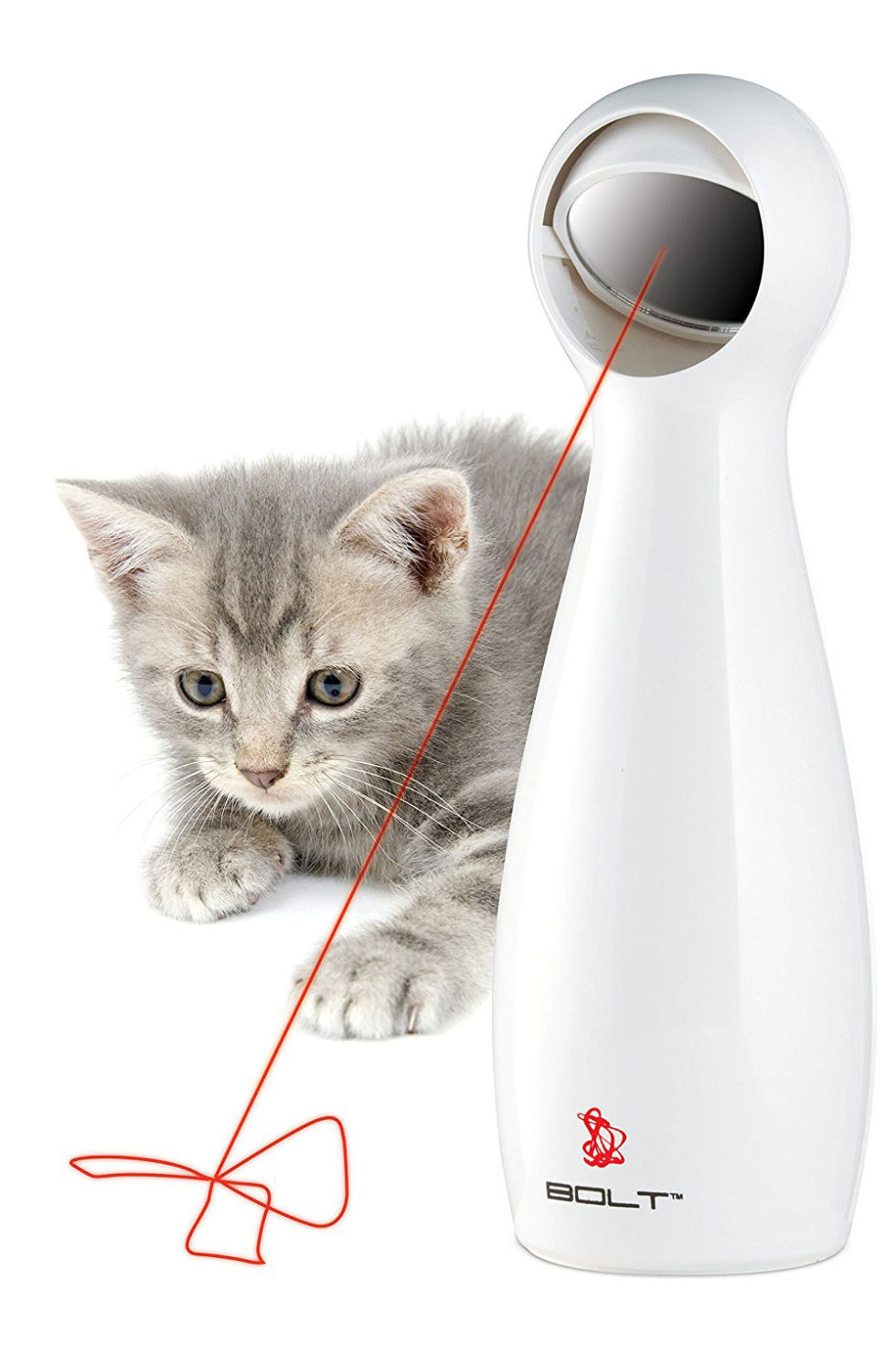 Genius Amazon Cat Products Cat Owner Products on Amazon