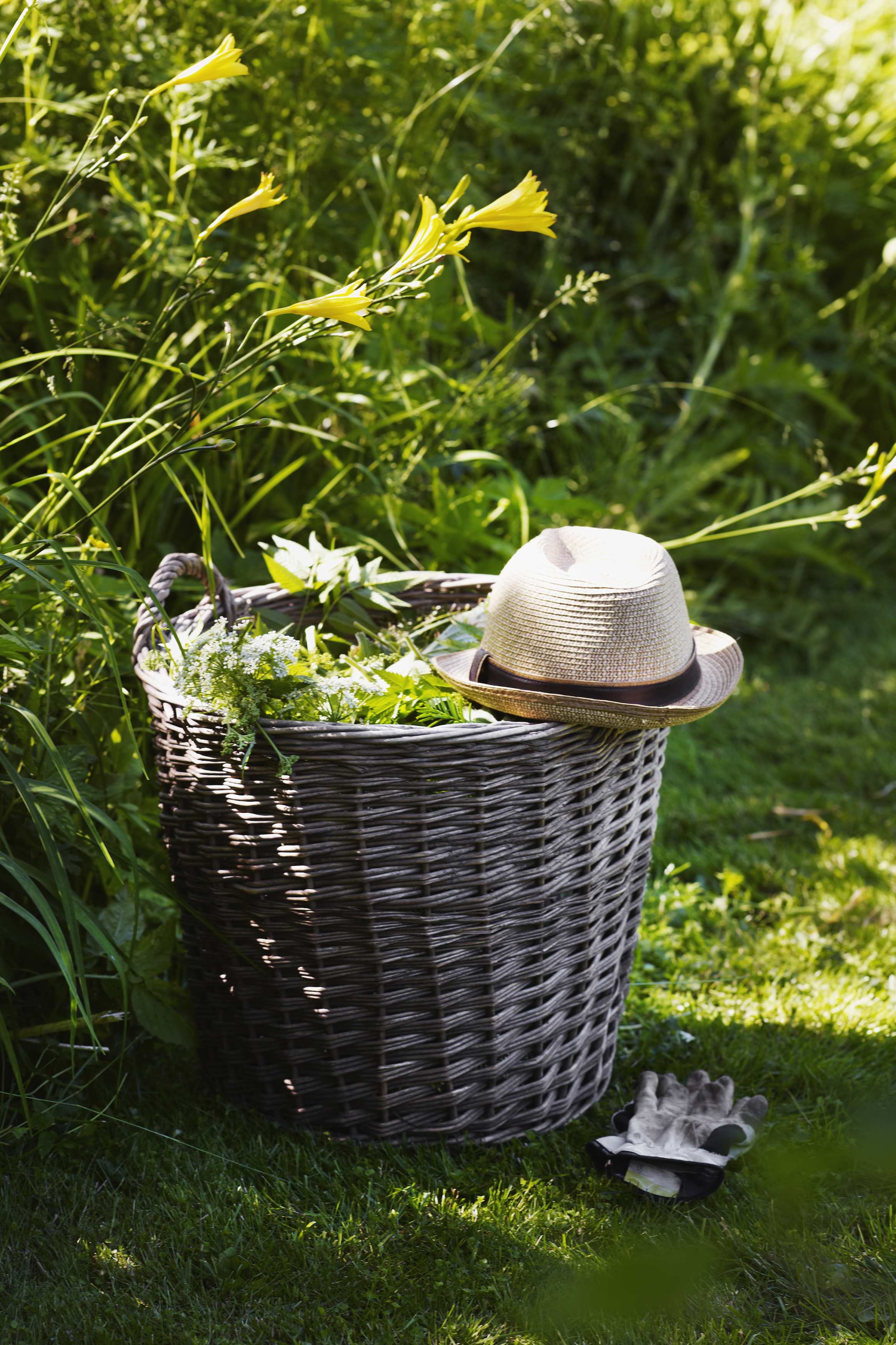 13 Homemade Organic Weed Killers How to Kill Weeds Naturally