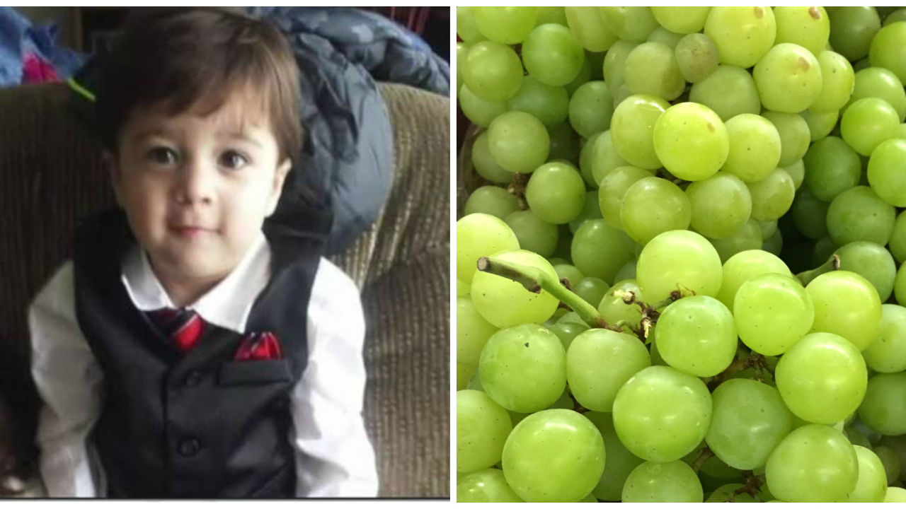 Image showcasing Are Grapes Bad For Dogs Choke