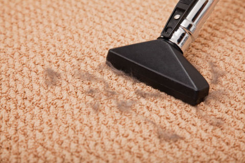 how to clean carpet
