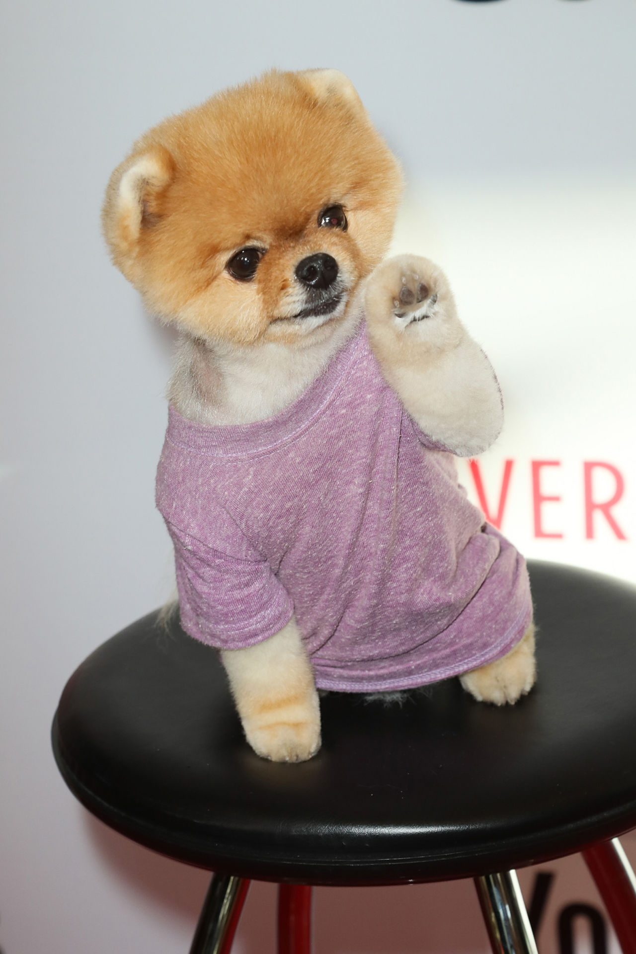 jiff-pom.jpg
