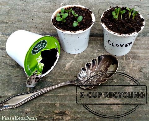 Using K Cups As Coffee Paint Using K Cups As Coffee Paint