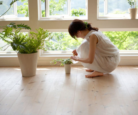 25 easy ways to live greener