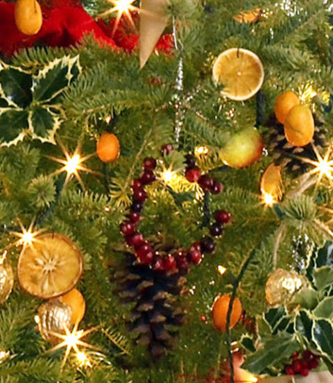 Christmas Natural Decorations My Web Value Natural Christmas Tree Decorations Hgtv Mini Cranberry Holiday Wreath