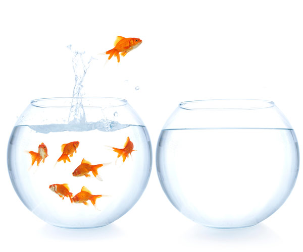 change careers change careers