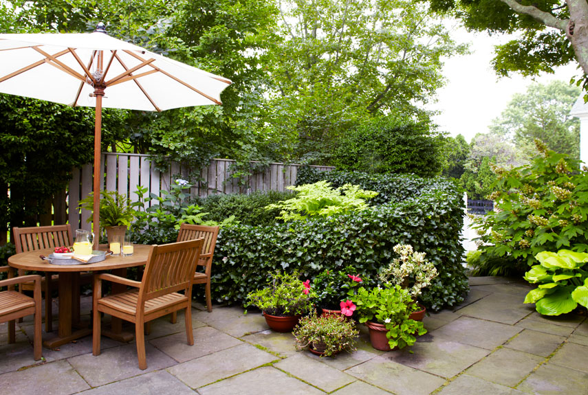 Patio Garden