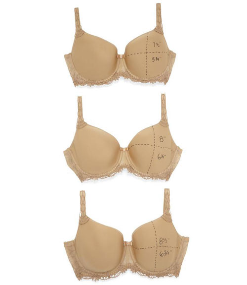How to Buy a Bra What to Look for in a Bra