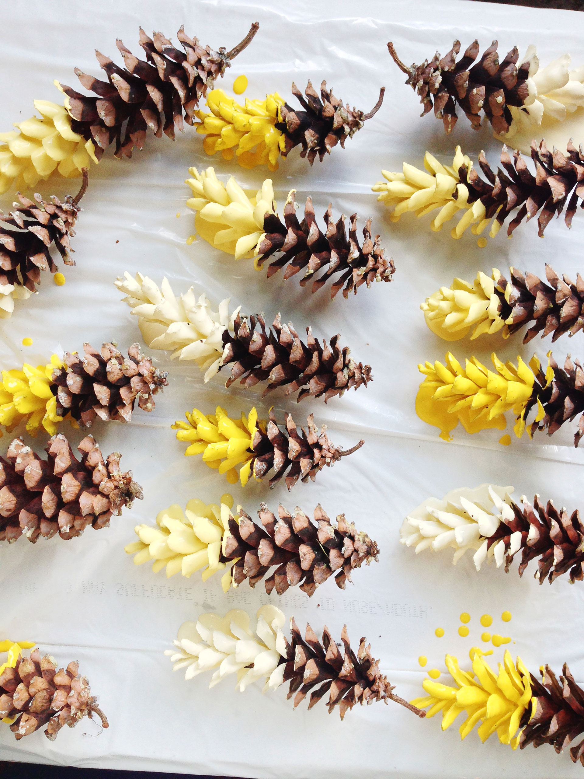 Easy, winter pinecone crafts decor made with pinecones
