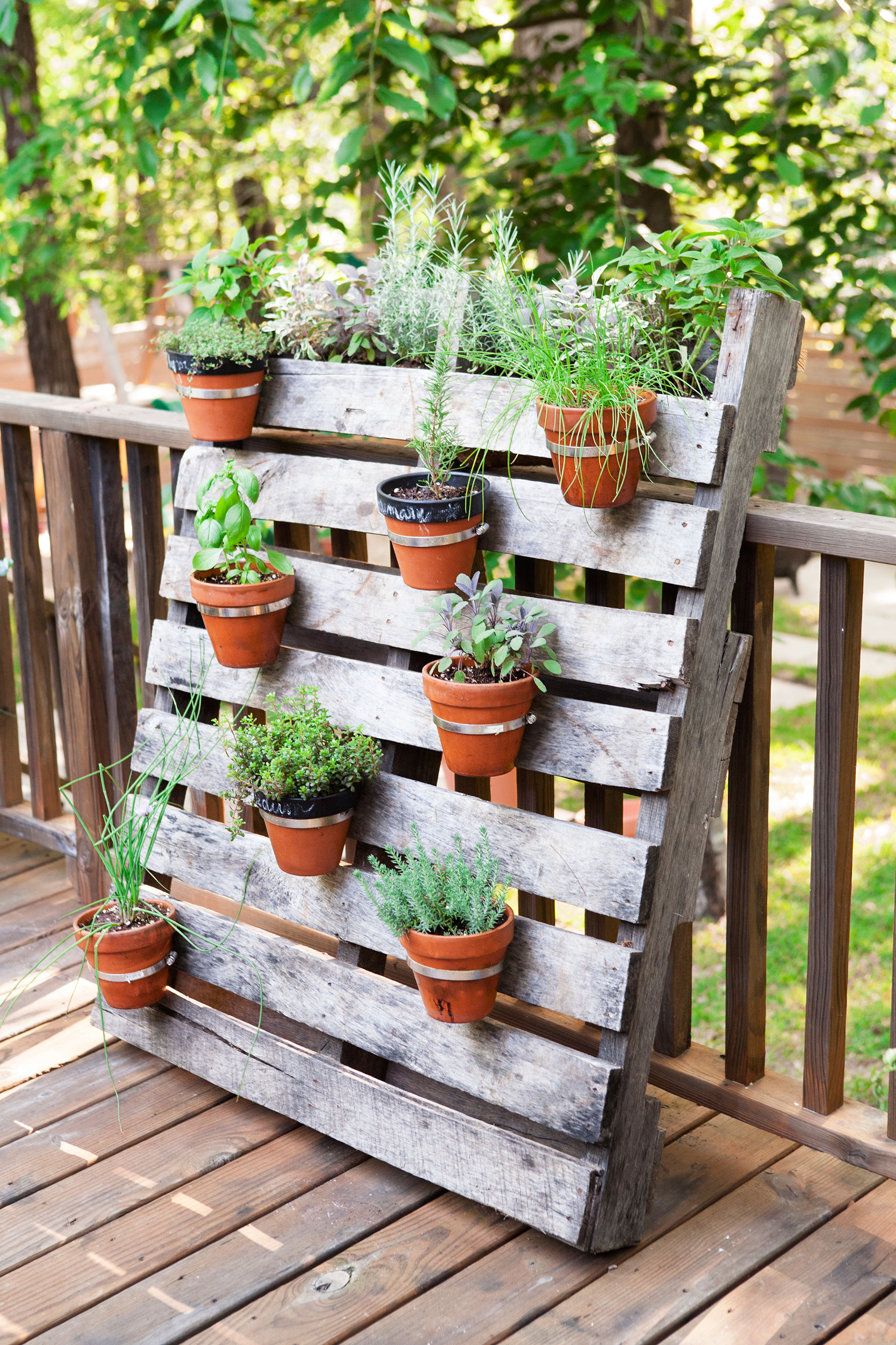 Backyard Plants Ideas cannas banana plants andor elephant ears may be in this lush tropical plant 25 Backyard Decorating Ideas Easy Gardening Tips And Diy Projects Backyard Plants Ideas 55 backyard landscaping ideas youll fall in love with 25 Backyard Decorating Ideas Easy Gardening Tips And Diy Projects