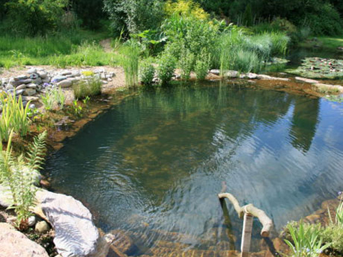 Natural Swimming Pool Designs natural swimming pools Natural Pools Natural Swimming Pools And Ponds Natural Swimming Pool Designs natural pool Natural Pools Natural Swimming Pools And Ponds