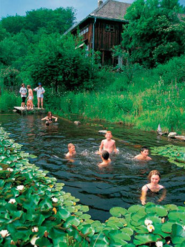 Natural Pool Designs natural freeform swimming pool design 149 Natural Pools Natural Swimming Pools And Ponds Natural Pool Designs jim chandler poolsvanishing edge with tile face Natural Pools Natural Swimming Pools And Ponds