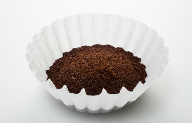 Coffee Filter Uses | new uses for coffee filters surprising things to do with Coffee Filter Uses | new uses for coffee filters surprising things to do with