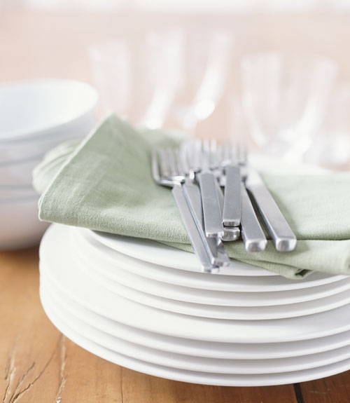 Plate Care How to Clean Dishes