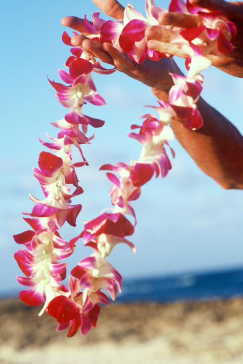 In this state, mothers-to-be steer clear of wearing leis the traditional way: They wear ones that are left open instead. "The closed lei symbolizes the choking of the child by the umbilical cord," says Davianna Pomaika'i McGregor, a department of ethnic studies professor at the University of Hawaii at Manoa.<br />
